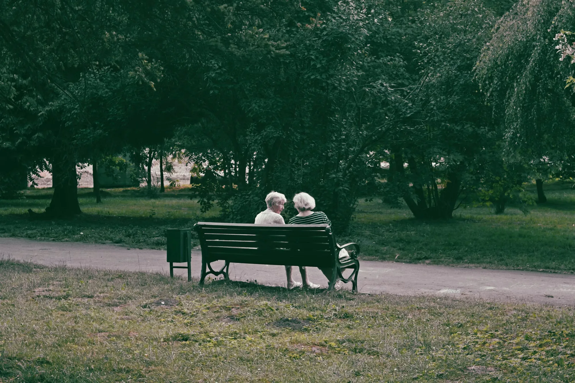 Two senior travellers resting on a park bench beneath quiet trees