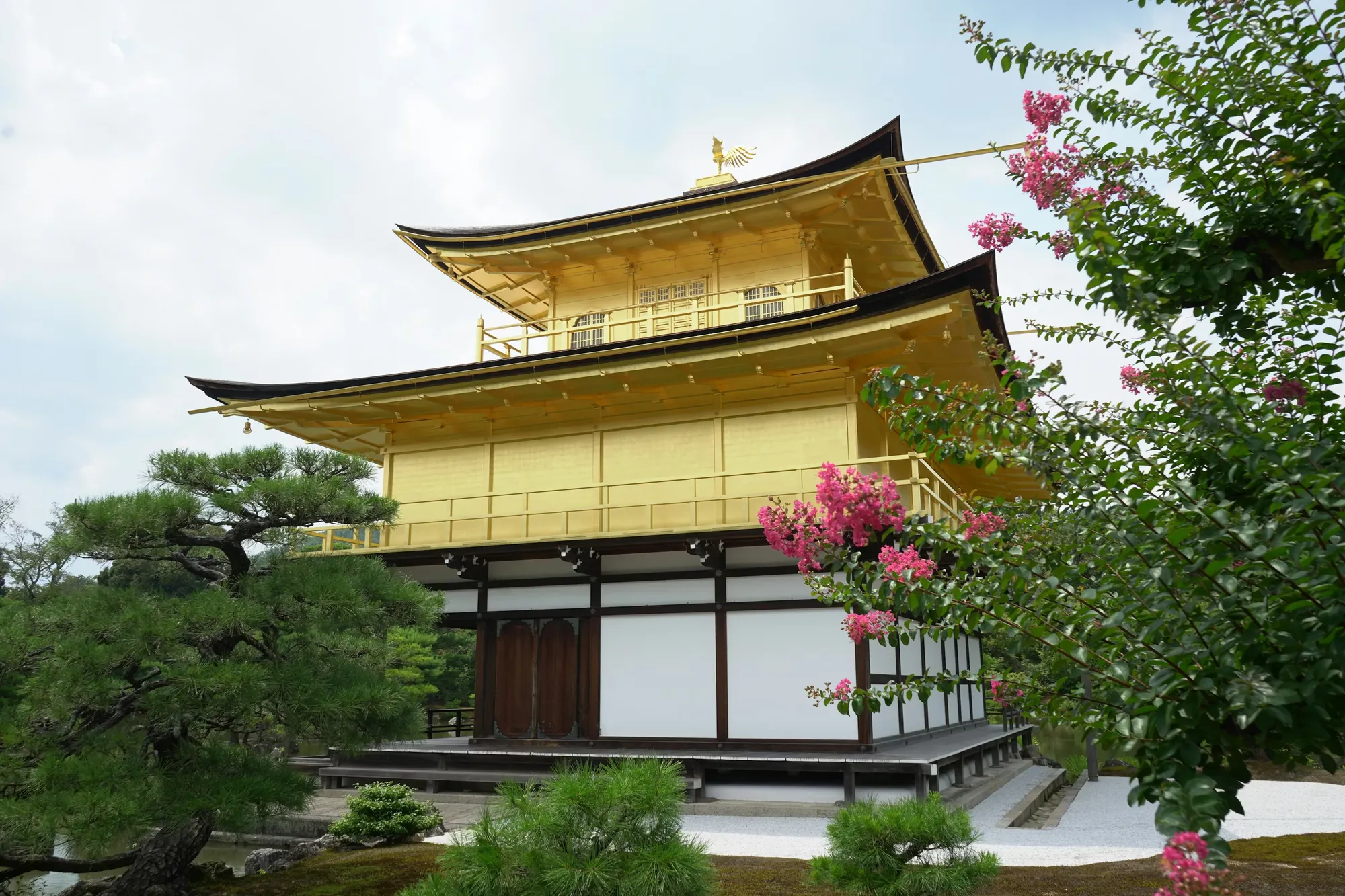 The Golden Pavilion in Kyoto framed by pine trees