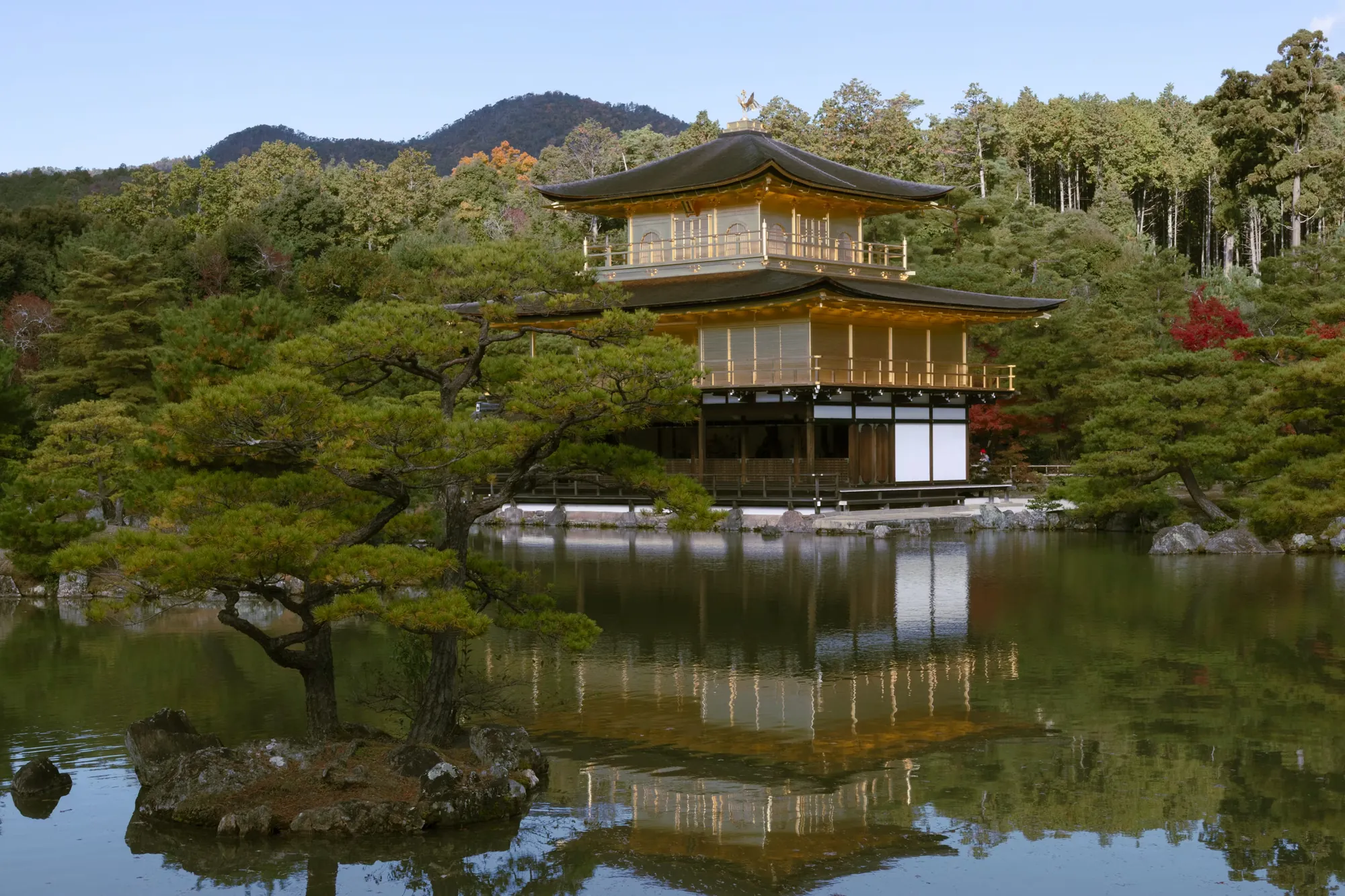 Kinkaku-ji, Kyoto's Golden Pavilion, reflected in a still pond surrounded by pines